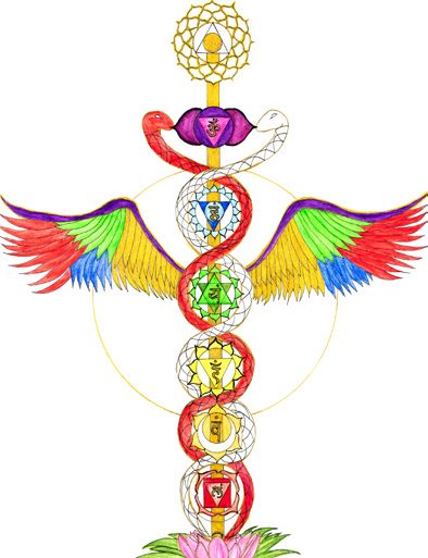 The Caduceus & The Chakras